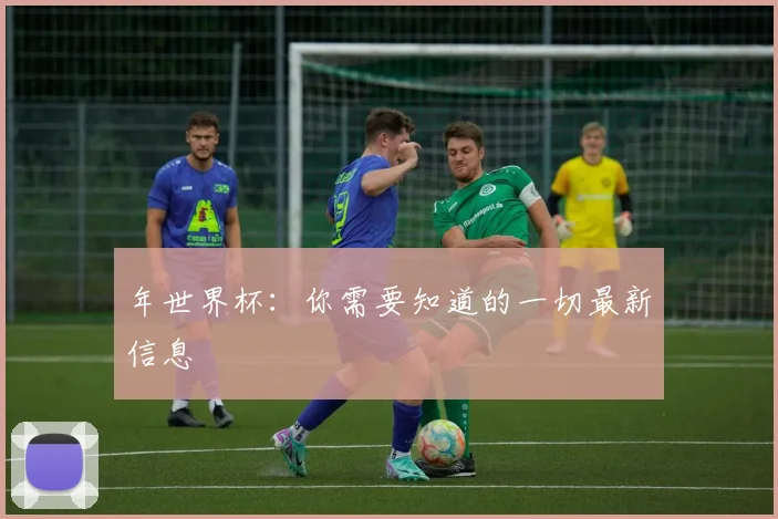 年世界杯:你需要知道的一切最新信息
