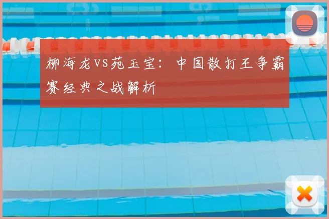 柳海龙vs苑玉宝:中国散打王争霸赛经典之战解析