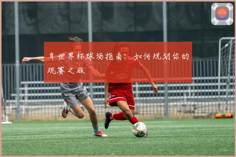 年世界杯球场指南：如何规划你的观赛之旅