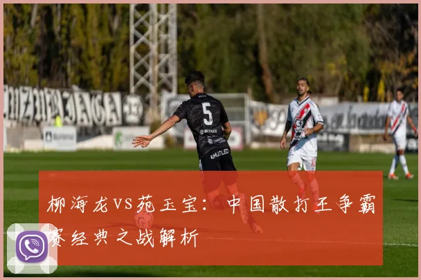 柳海龙vs苑玉宝:中国散打王争霸赛经典之战解析